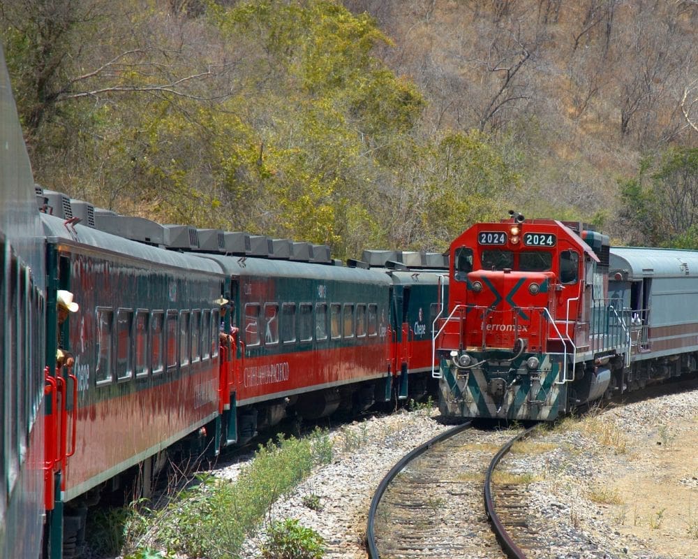 el chepe train