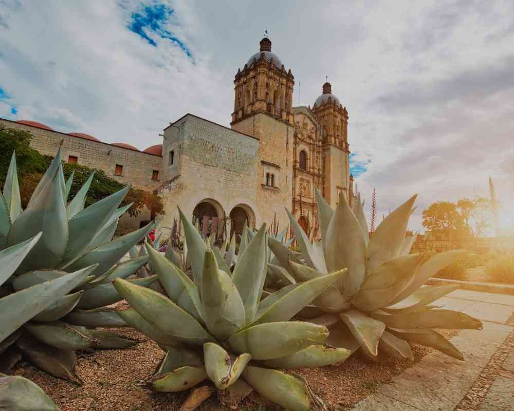 oaxaca city