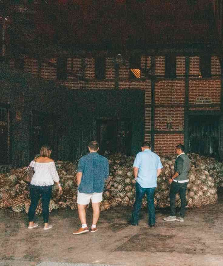 Tequila Tour Guadalajara Mexico
