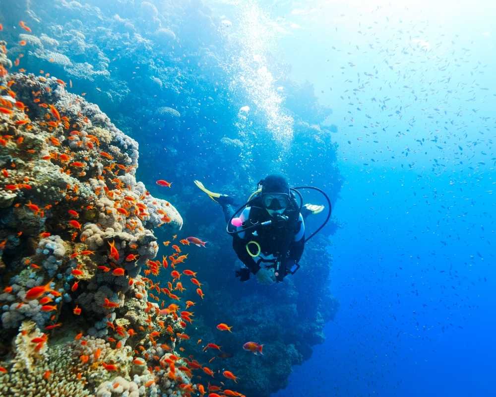 cabo san lucas