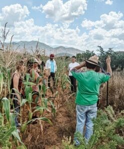 Oaxaca Tours