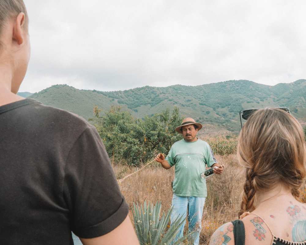 oaxaca mezcal tour