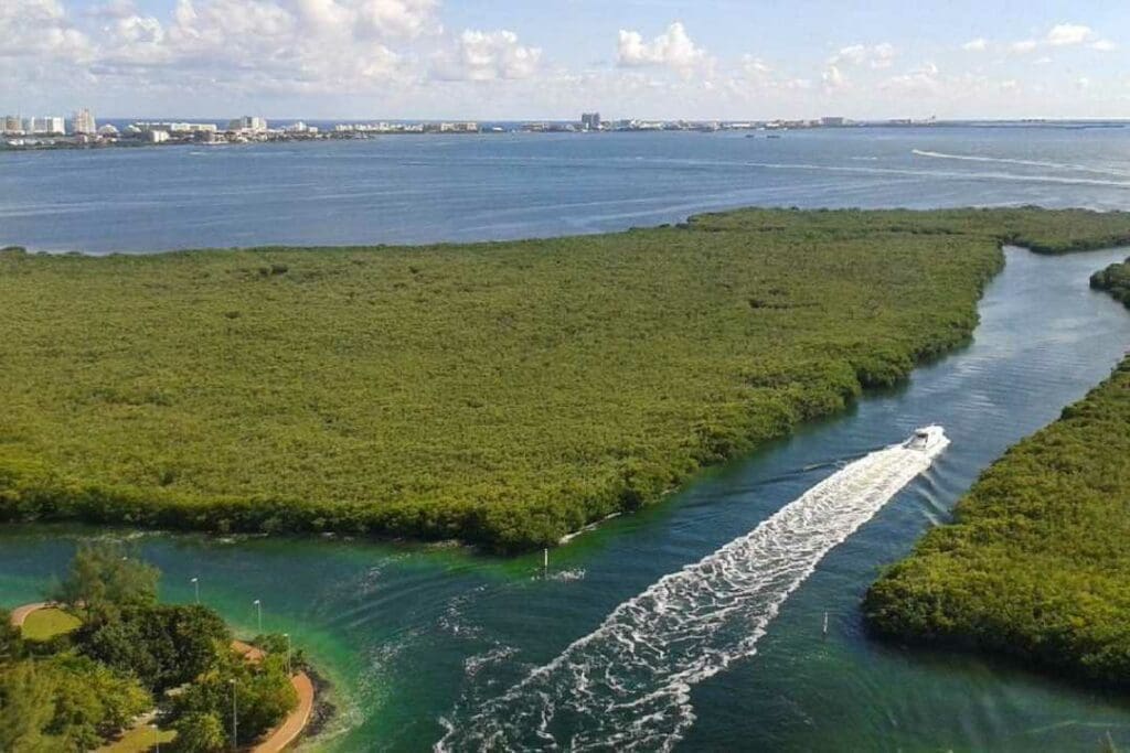 things to do in cancun