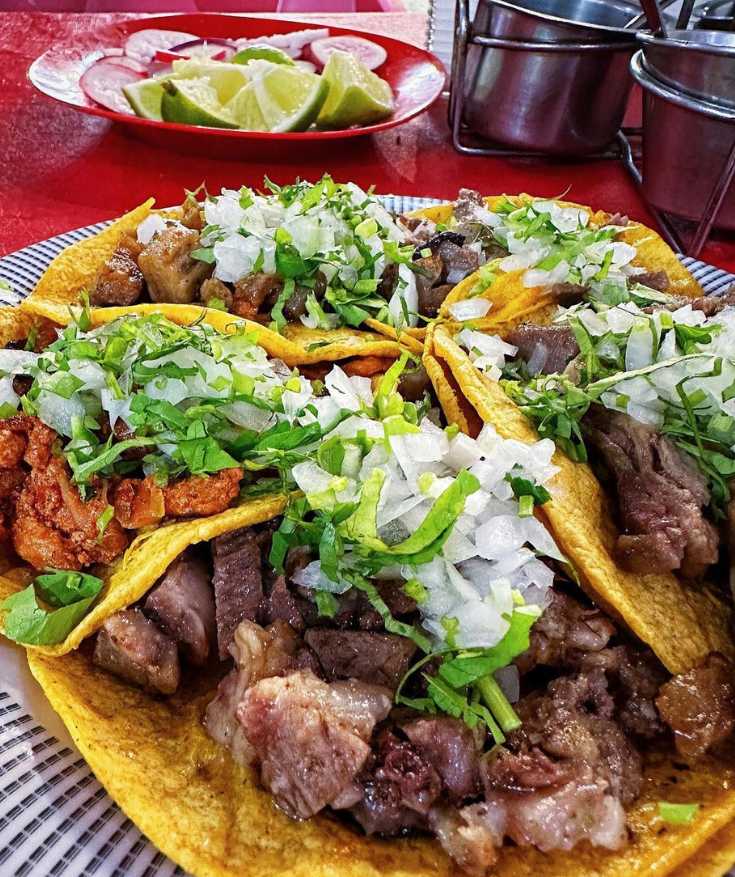 things to do in cancun