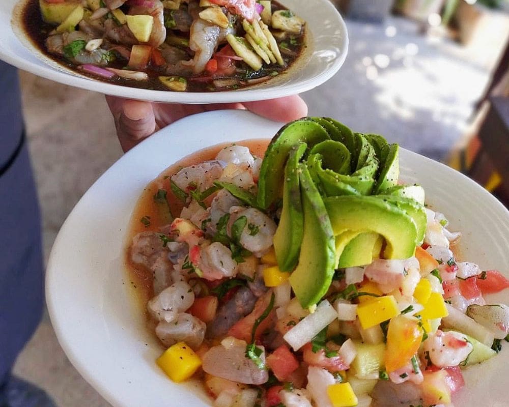 Best Puerto Vallarta Restaurants
