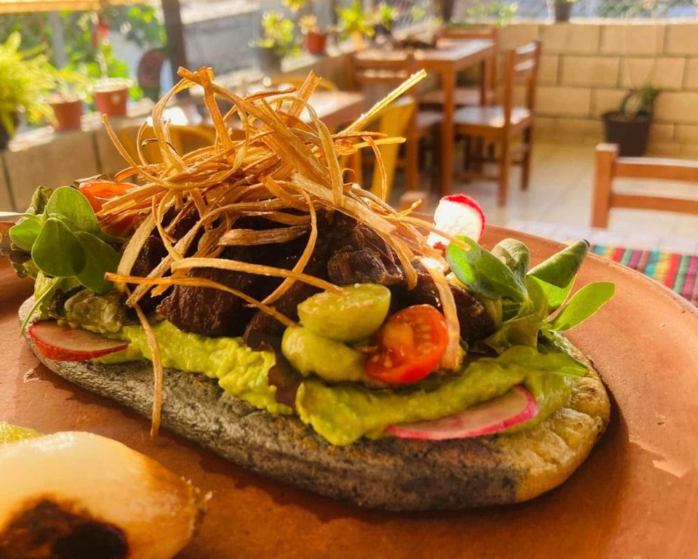 Best Puerto Vallarta Restaurants
