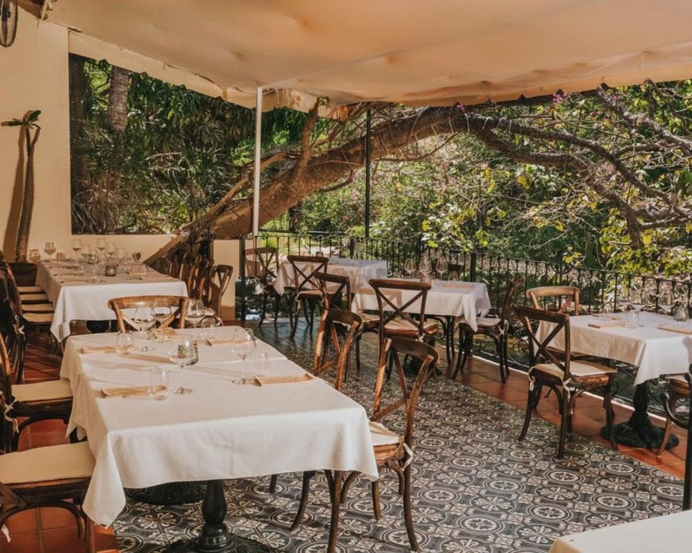 Best Puerto Vallarta Restaurants
