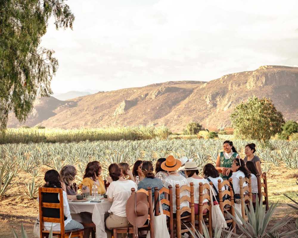 Mezcal Matriarchs: Discovering Oaxaca's Female-Led Palenque - Image 3