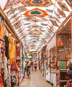 Todos Santos Shopping Tour