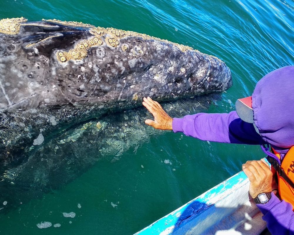 baja mexico vacation spots