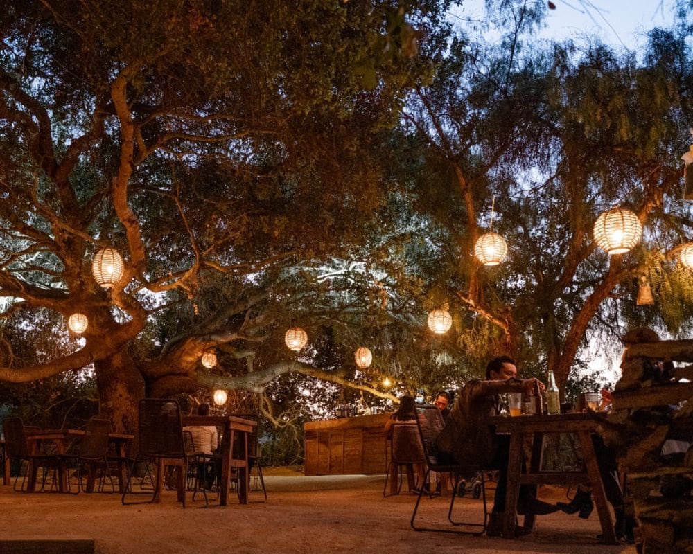 best restaurants in valle de guadalupe