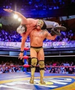 lucha libre tickets