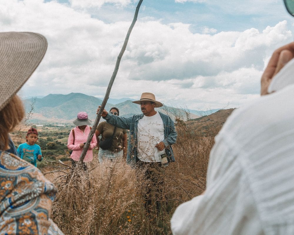 Walk through agave fields and taste ancestral mezcal - Image 4