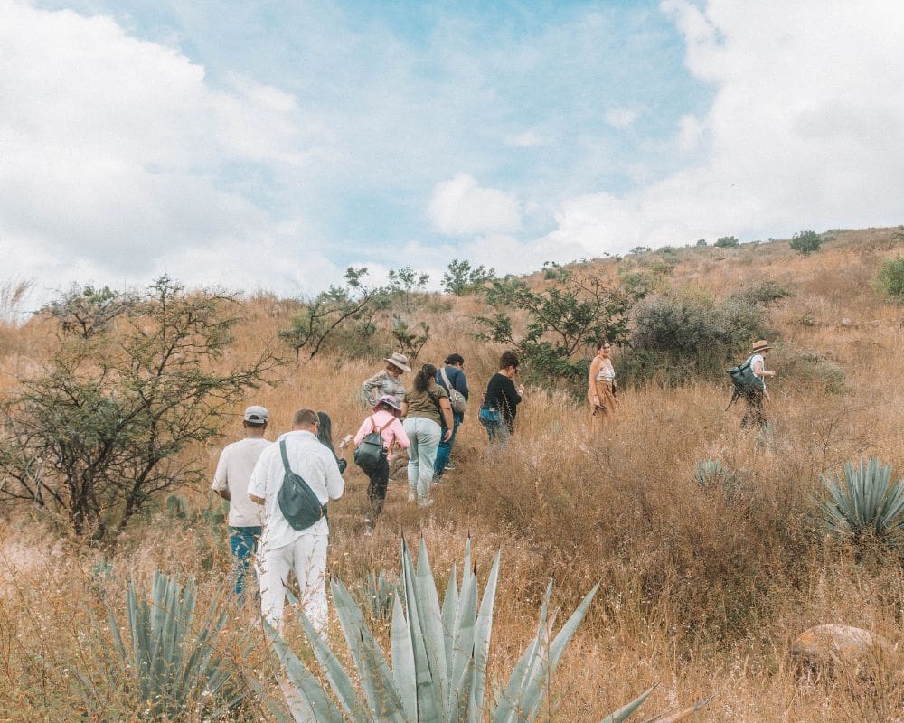 Mezcal Tour Oaxaca