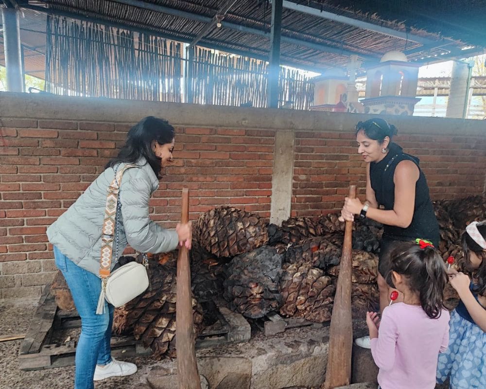 Make mezcal the old-school way with locals