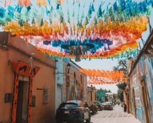 things to do in oaxaca
