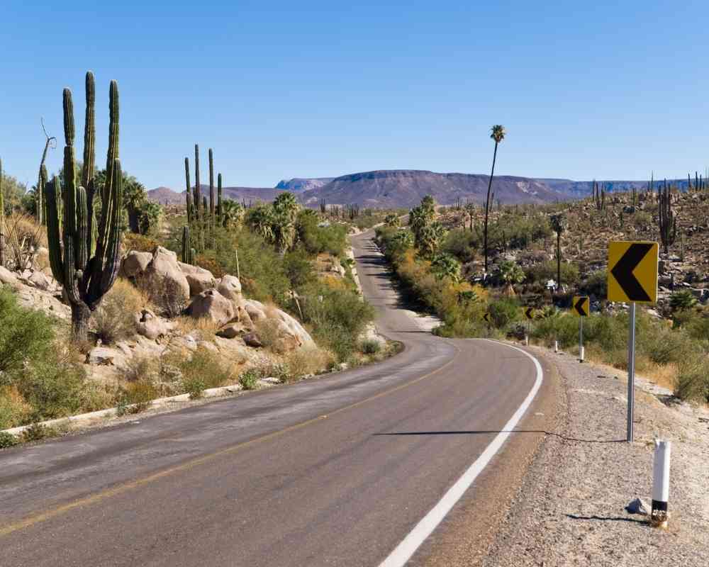 baja california road trip