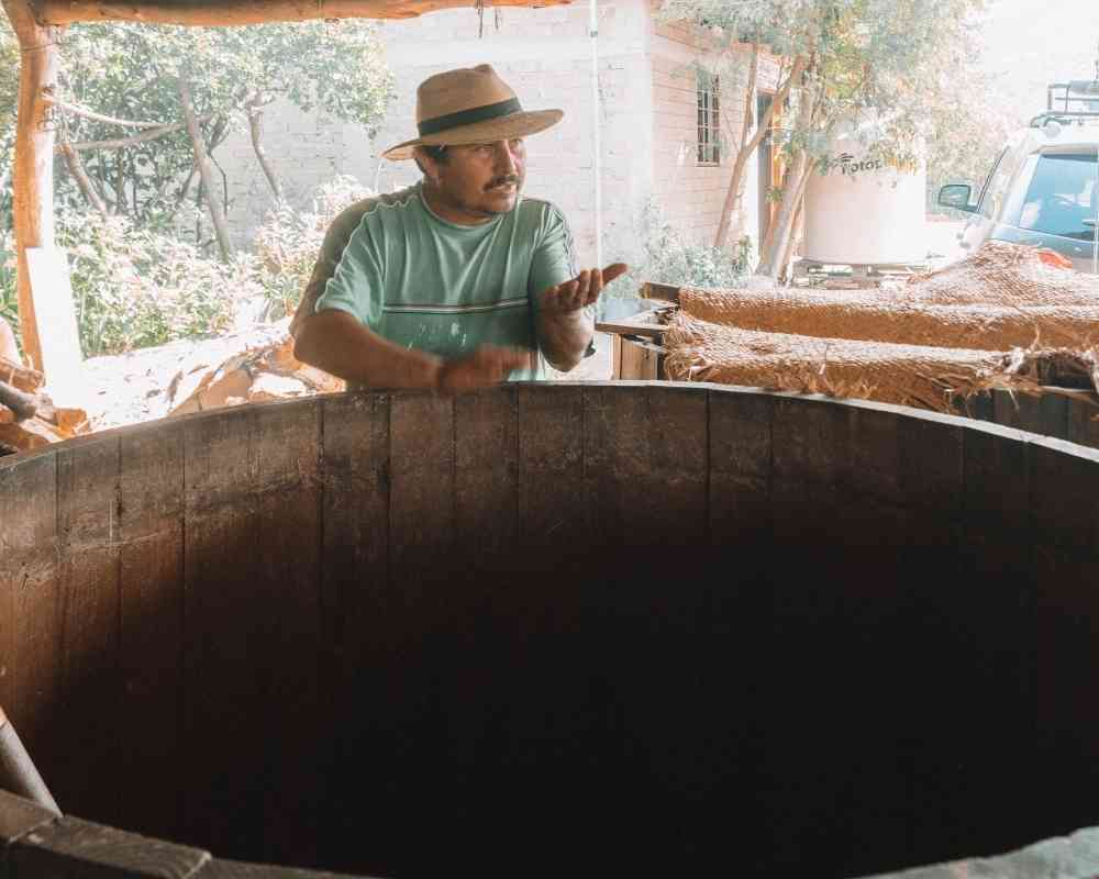 best oaxaca mezcal tour