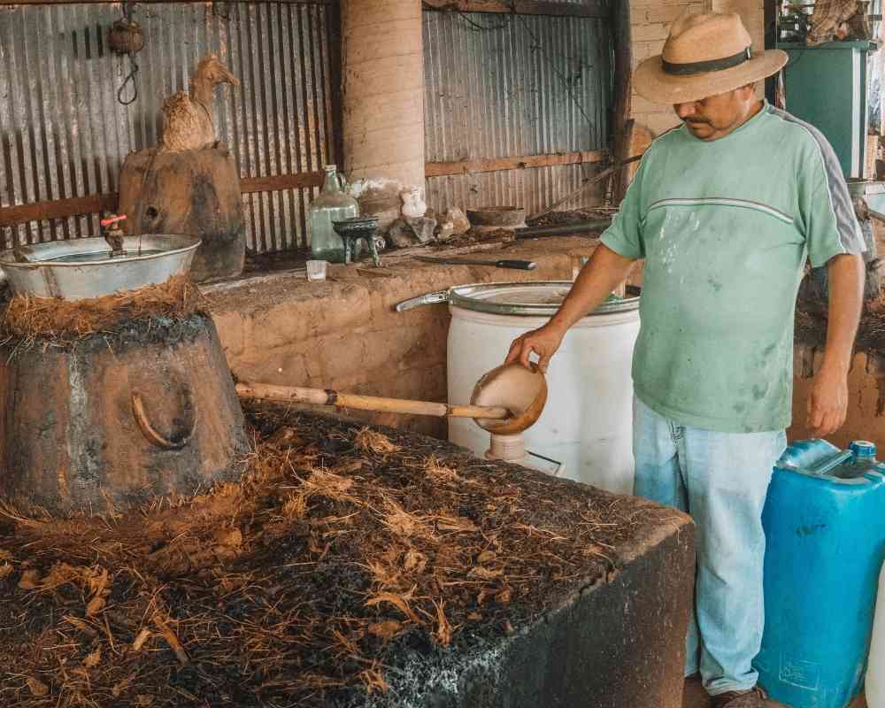 oaxaca mezcal tour