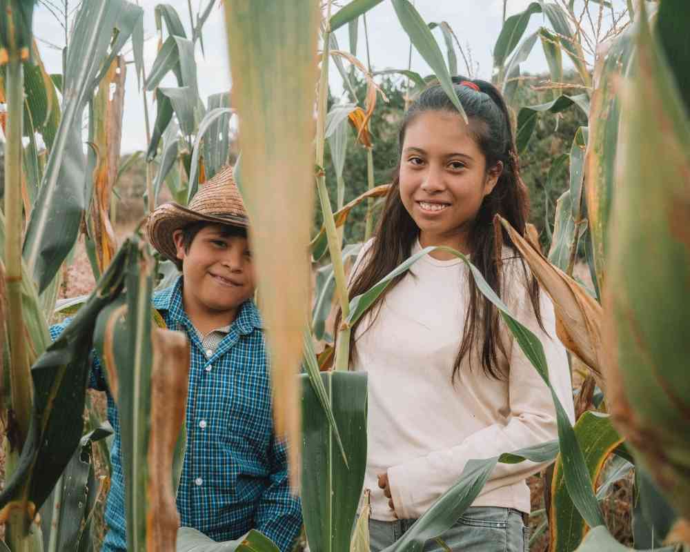 best mezcal tour oaxaca