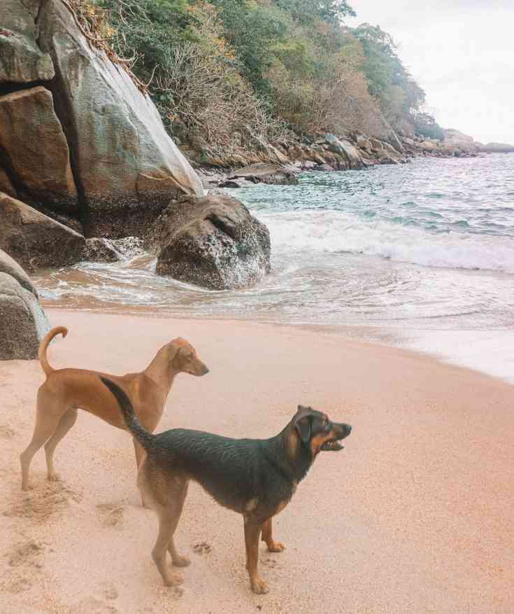 colomitos beach