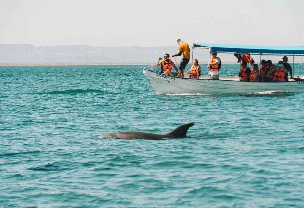 espiritu santo island la paz