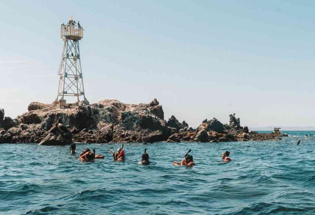 Espiritu Santo Island - La Paz