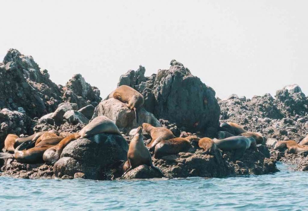 espiritu santo island la paz