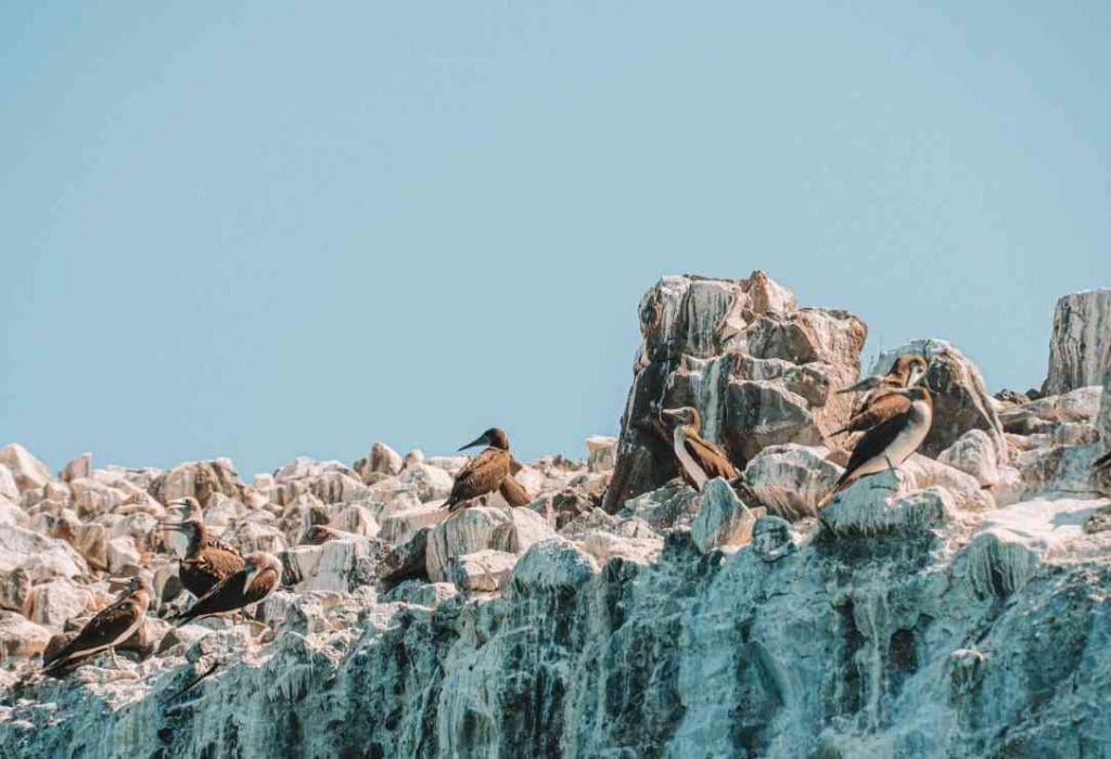 espiritu santo island la paz