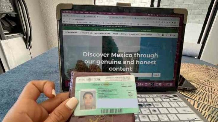 mexico residency visa categories