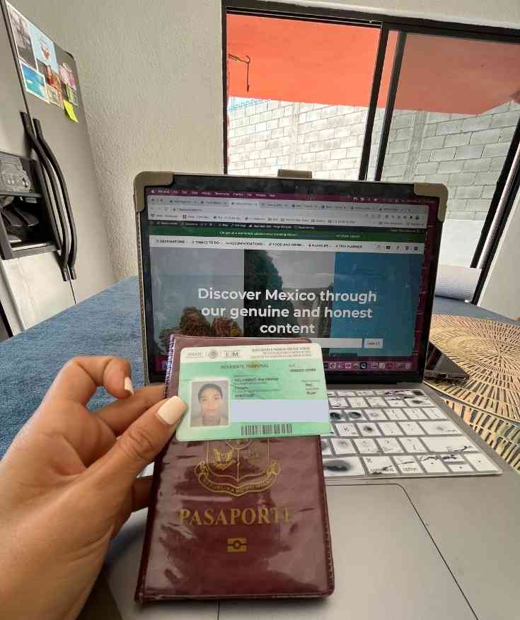 mexico residency visa categories