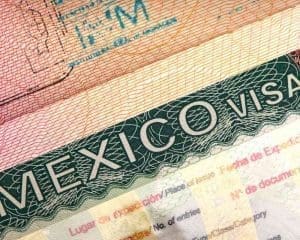 mexico residency visa categories