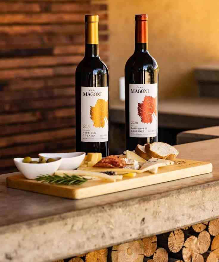wineries in valle de guadalupe