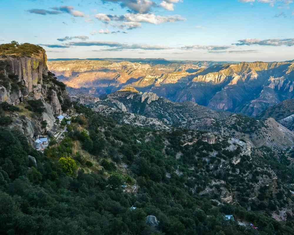 copper canyon chihuahua