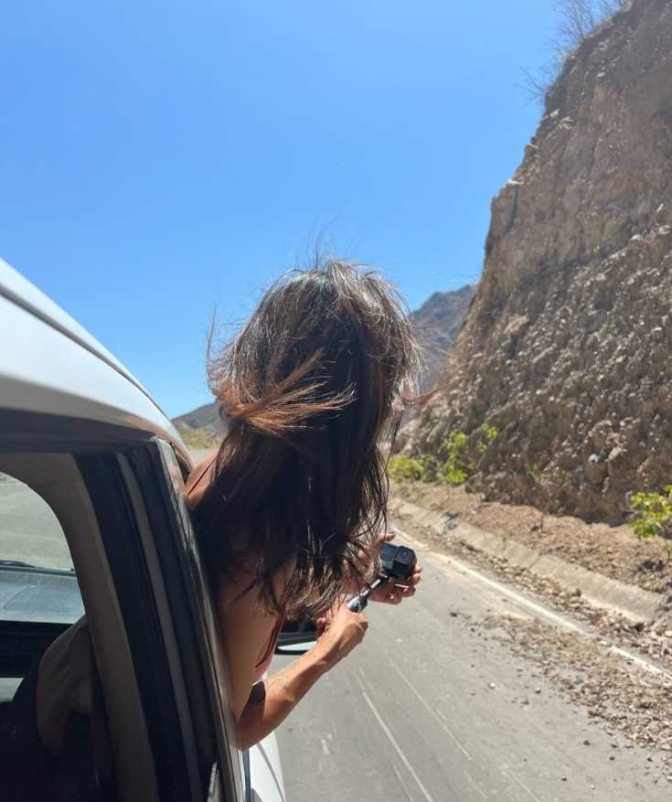 chihuahua road trip