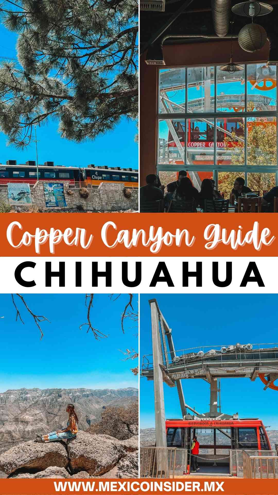 copper canyon chihuahua