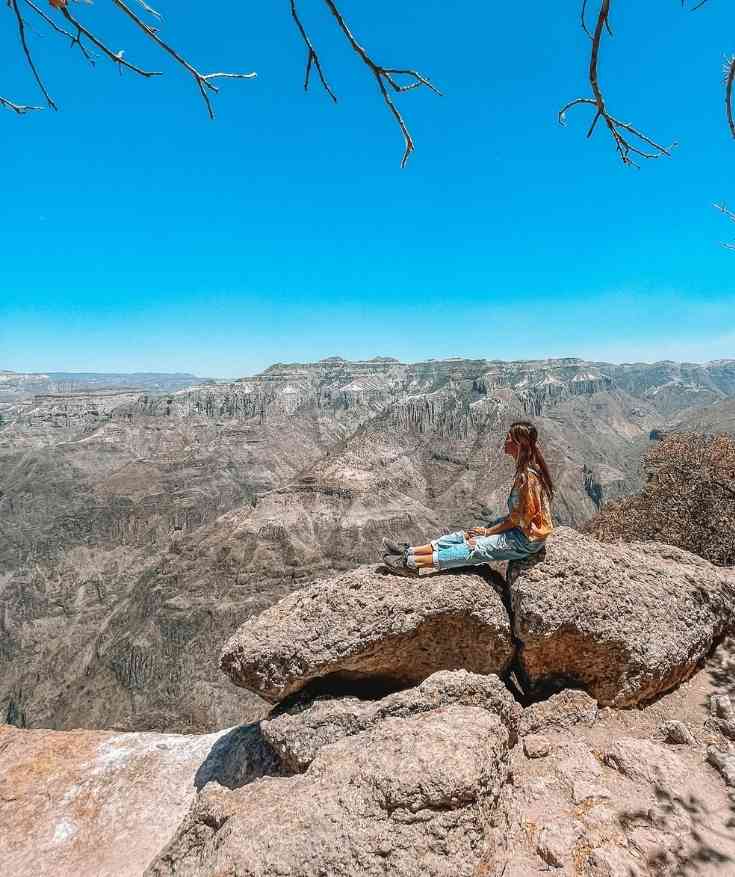 copper canyon chihuahua