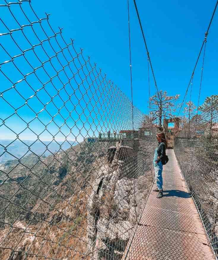 copper canyon chihuahua