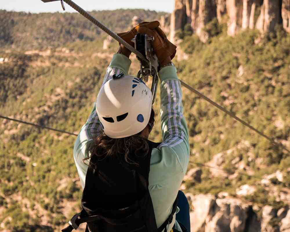 copper canyon chihuahua