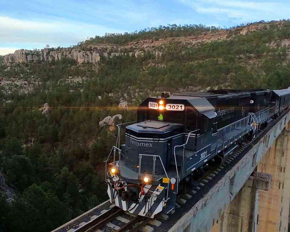 copper canyon chihuahua