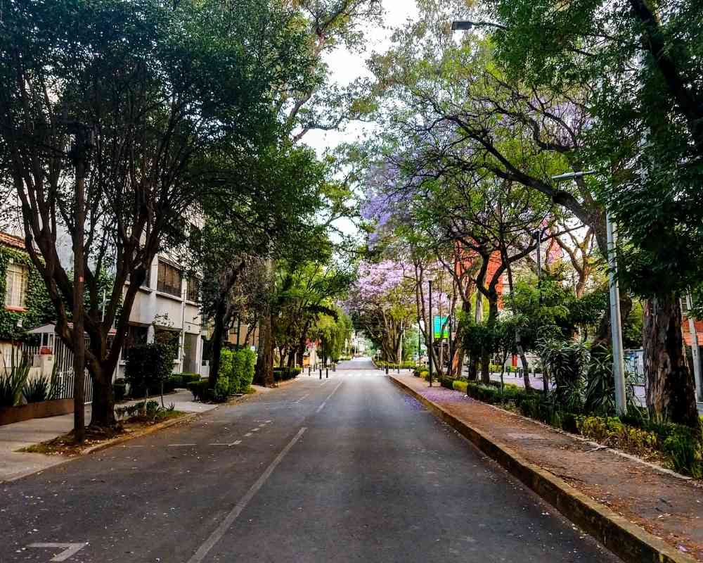 mexico city apartments