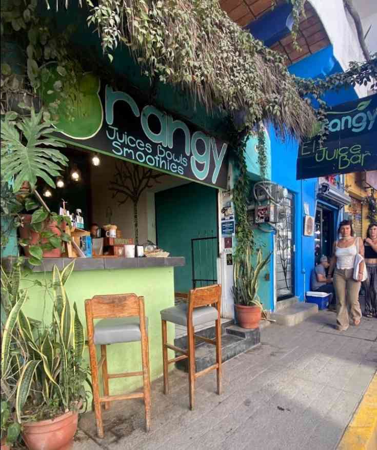 sayulita vegetarian restaurants