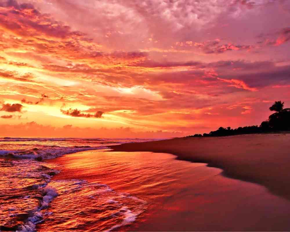 puerto escondido internet
