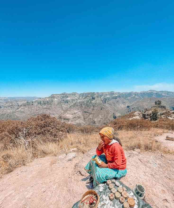 copper canyon chihuahua