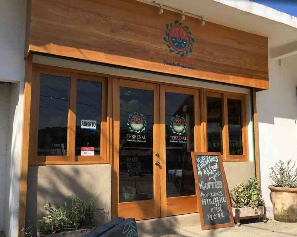 sayulita vegetarian restaurants