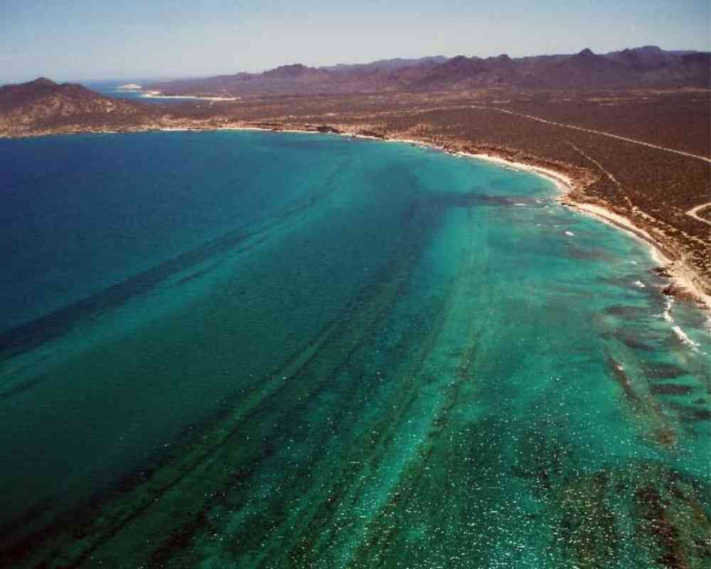 things to do in baja california sur