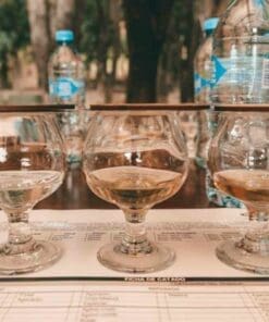 tequila Tour Guadalajara Mexico