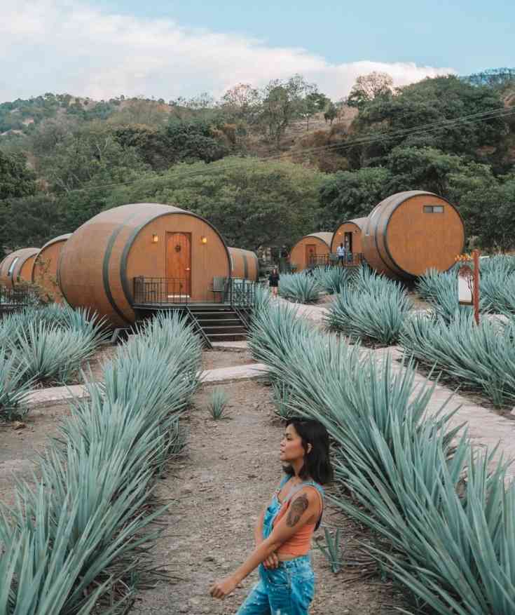 Best tequila in Guadalajara