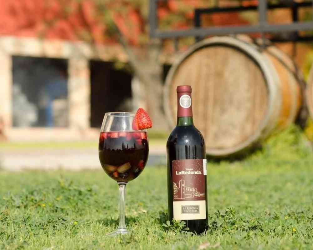 queretaro wineries