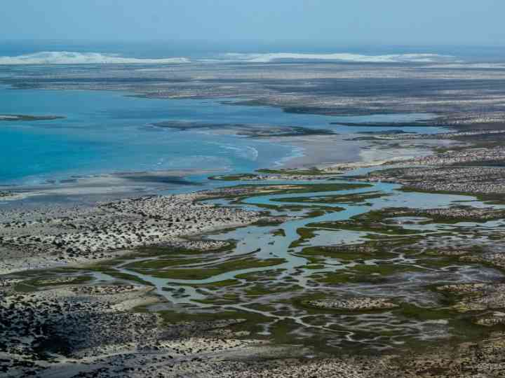 things to do in baja california sur